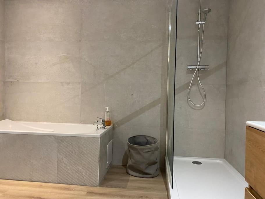 Maison Entiere 6 Personnes Jardin Terrasses Et Garage 낭시 외부 사진